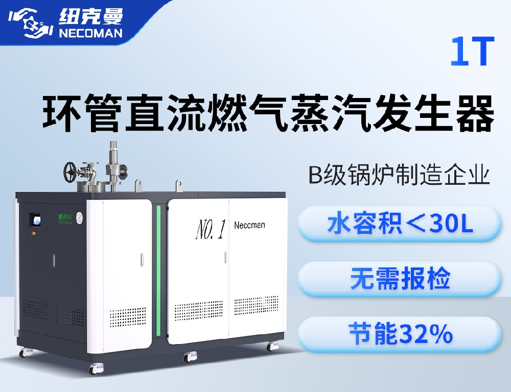 1噸 燃?xì)馊加驼羝l(fā)生器